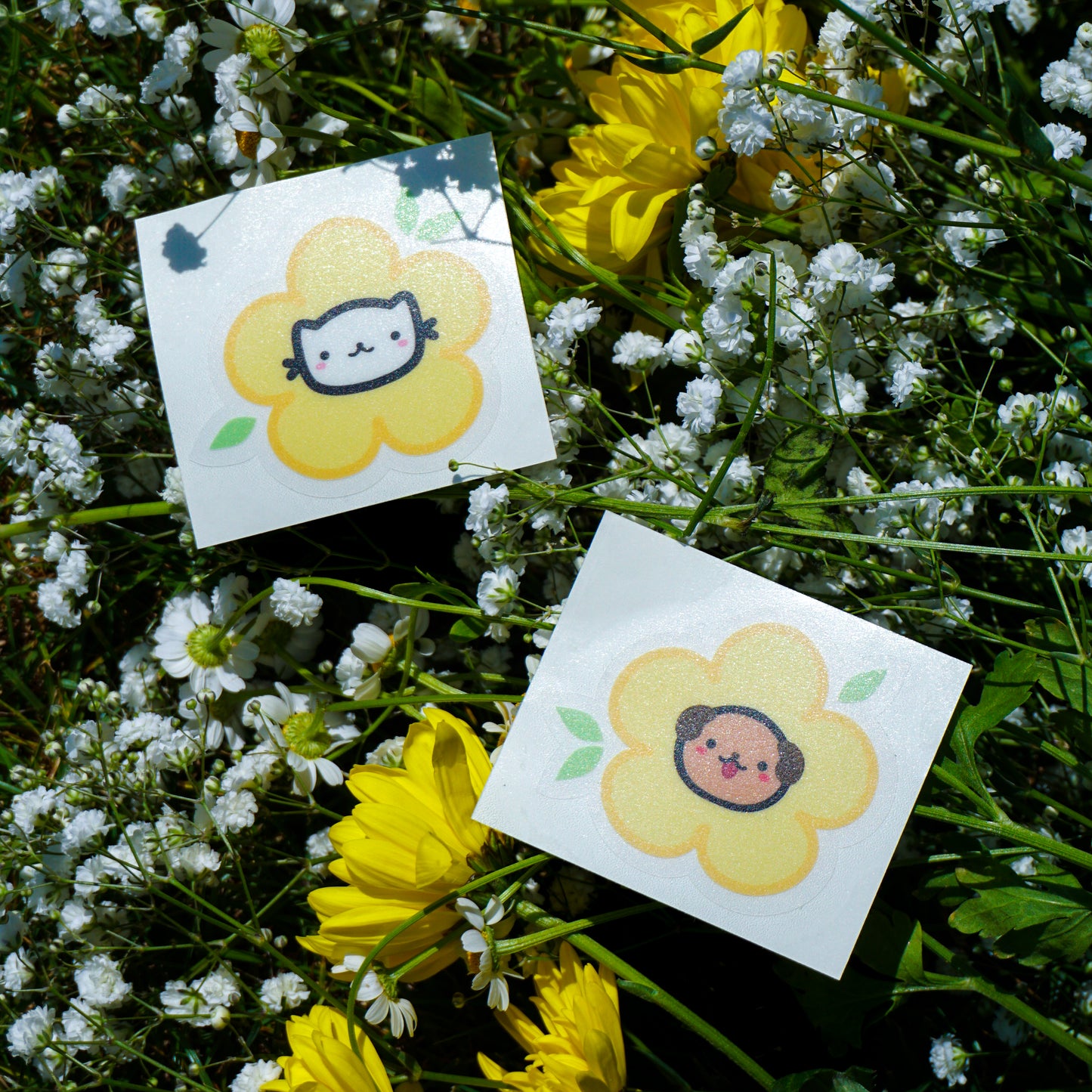 Bloom Neko and Chubs