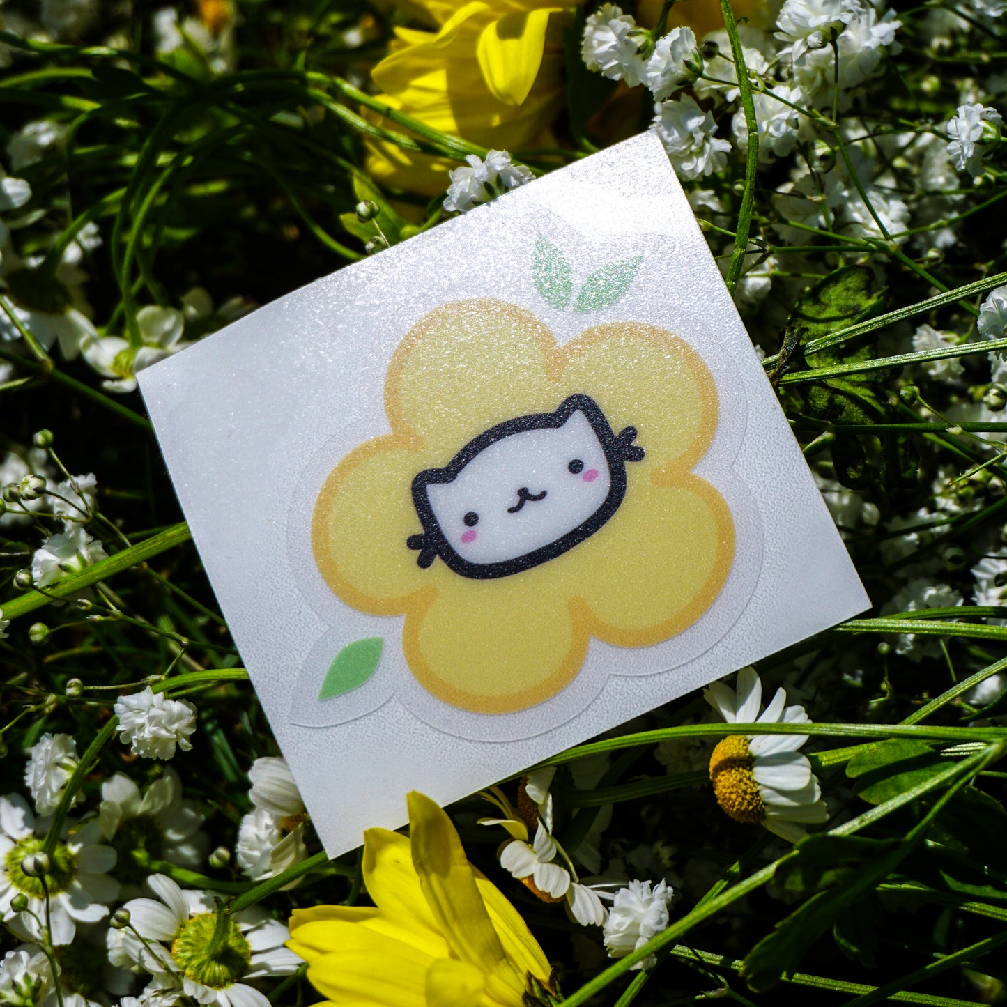 Bloom Neko and Chubs
